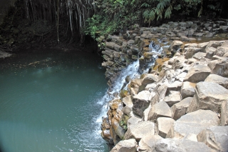 Don't you just want to jump in-