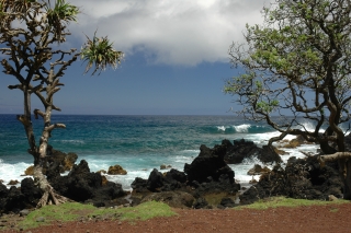 Is there anything left to say